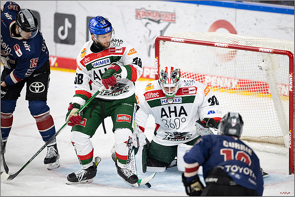 PENNY DEL 1; Kölner Haie - Augsburger Panther; Köln, 05.01.2025