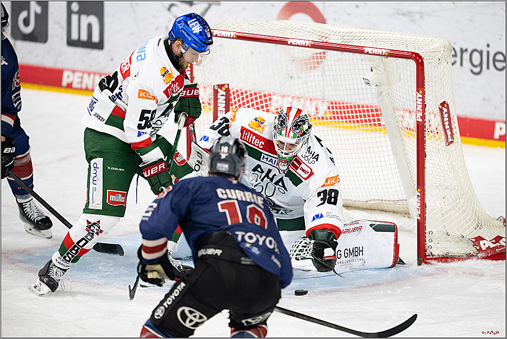 PENNY DEL 1; Kölner Haie - Augsburger Panther; Köln, 05.01.2025