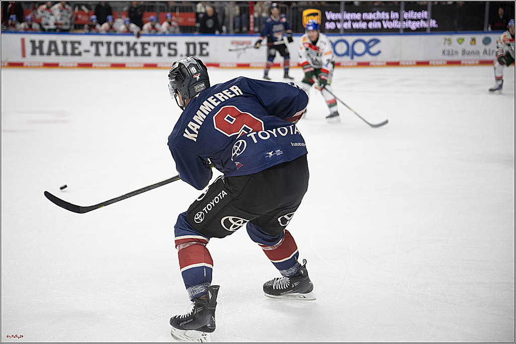PENNY DEL 1; Kölner Haie - Augsburger Panther; Köln, 05.01.2025