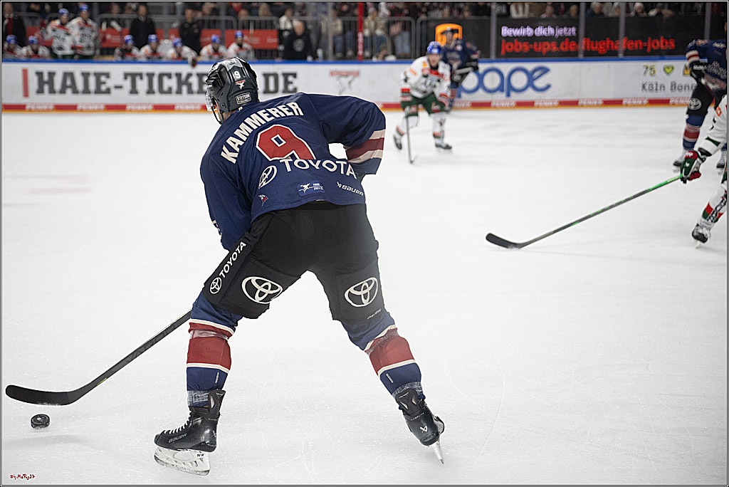 PENNY DEL 1; Kölner Haie - Augsburger Panther; Köln, 05.01.2025