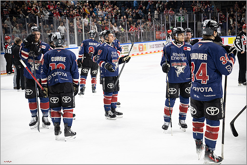 PENNY DEL 1; Kölner Haie - Augsburger Panther; Köln, 05.01.2025
