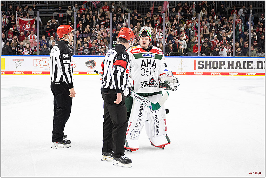 PENNY DEL 1; Kölner Haie - Augsburger Panther; Köln, 05.01.2025