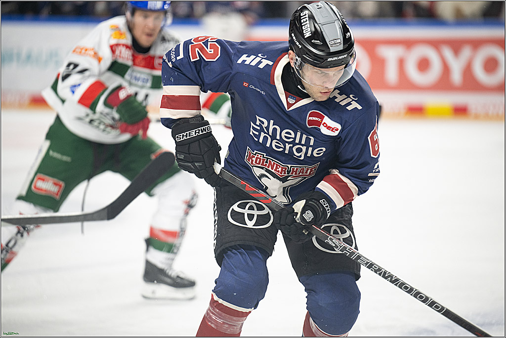 PENNY DEL; Koelner Haie- Augsburger Panther; Koeln, 05.01.2025
