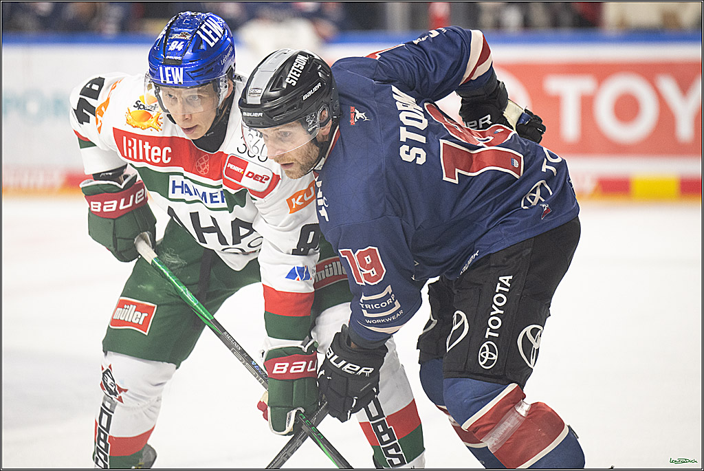 PENNY DEL; Koelner Haie- Augsburger Panther; Koeln, 05.01.2025