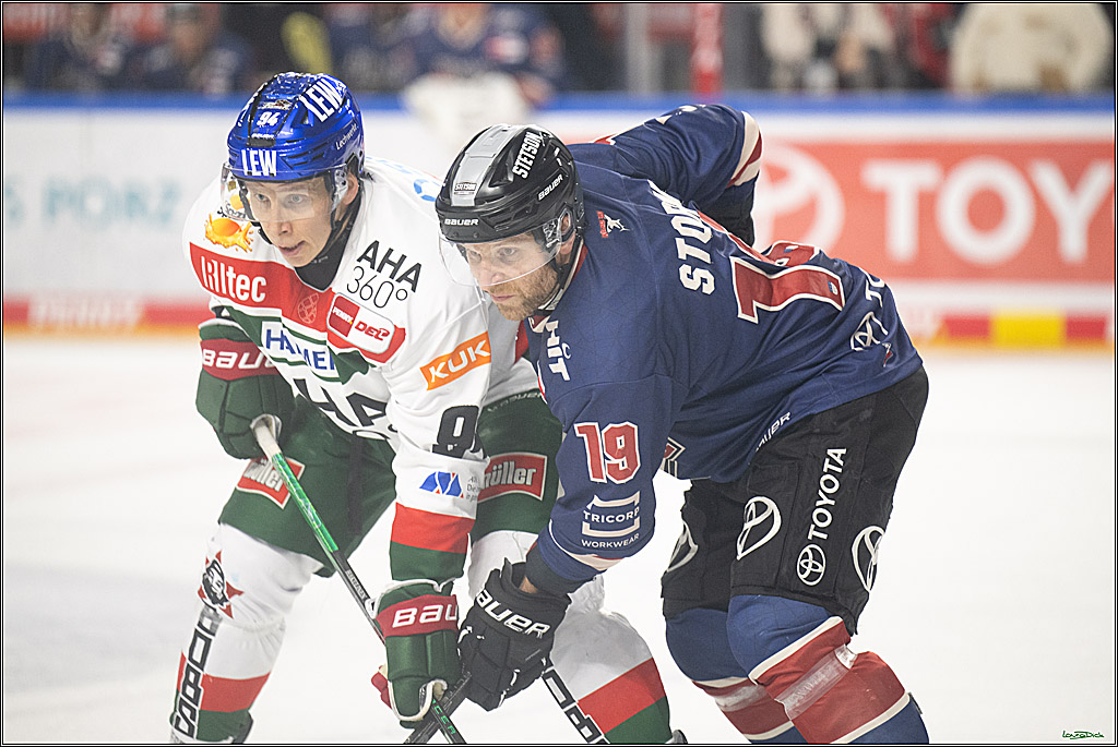 PENNY DEL; Koelner Haie- Augsburger Panther; Koeln, 05.01.2025