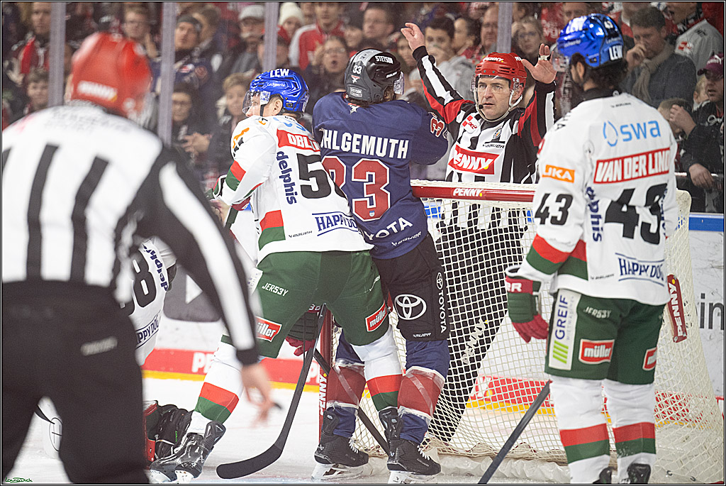 PENNY DEL; Koelner Haie- Augsburger Panther; Koeln, 05.01.2025