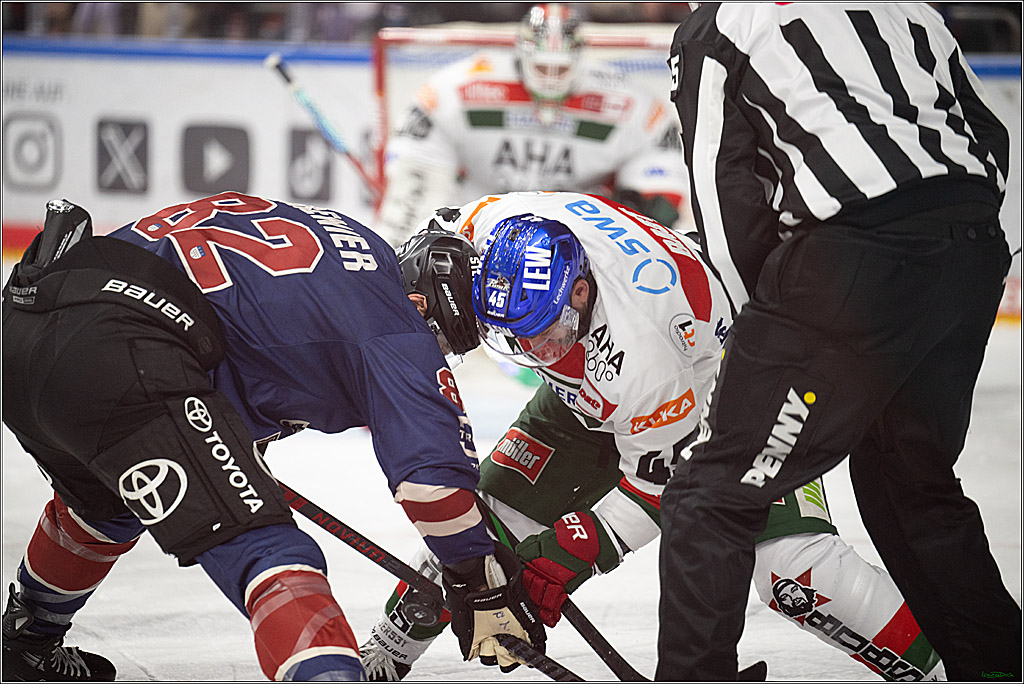 PENNY DEL; Koelner Haie- Augsburger Panther; Koeln, 05.01.2025