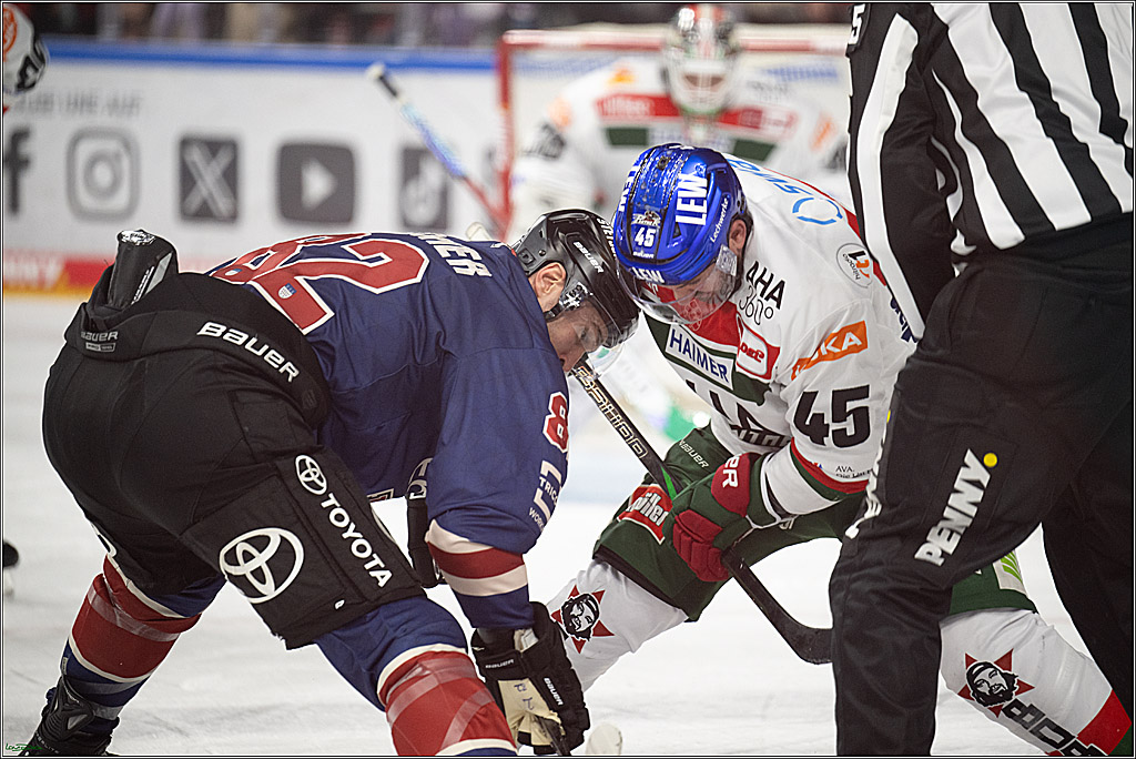 PENNY DEL; Koelner Haie- Augsburger Panther; Koeln, 05.01.2025