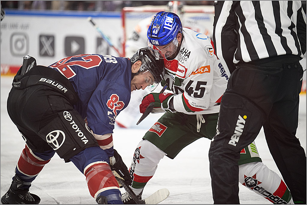 PENNY DEL; Koelner Haie- Augsburger Panther; Koeln, 05.01.2025