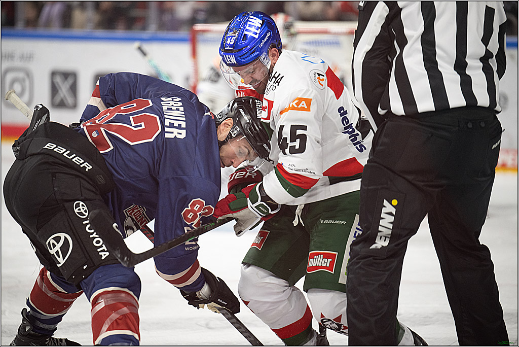 PENNY DEL; Koelner Haie- Augsburger Panther; Koeln, 05.01.2025