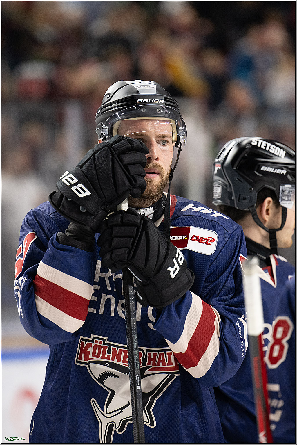 PENNY DEL; Koelner Haie- Augsburger Panther; Koeln, 05.01.2025