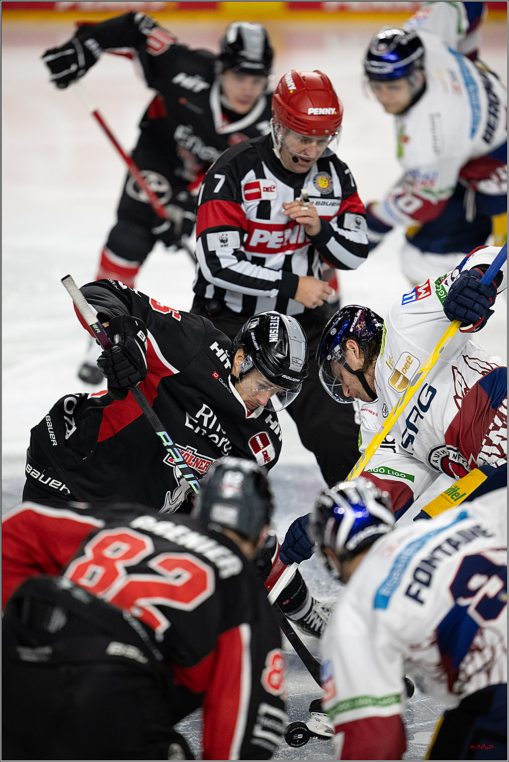 PENNY DEL 1; Kölner Haie - Eisbären Berlin; Köln, 07.01.2025