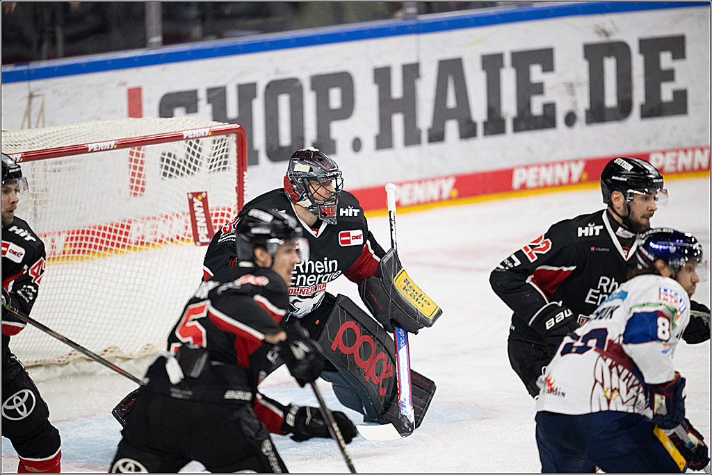 PENNY DEL 1; Kölner Haie - Eisbären Berlin; Köln, 07.01.2025