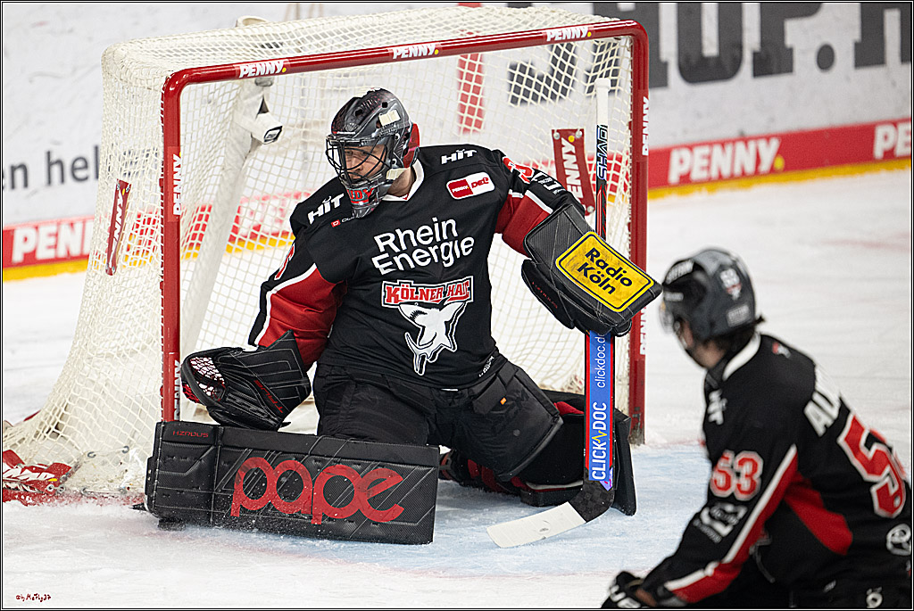 PENNY DEL 1; Kölner Haie - Eisbären Berlin; Köln, 07.01.2025