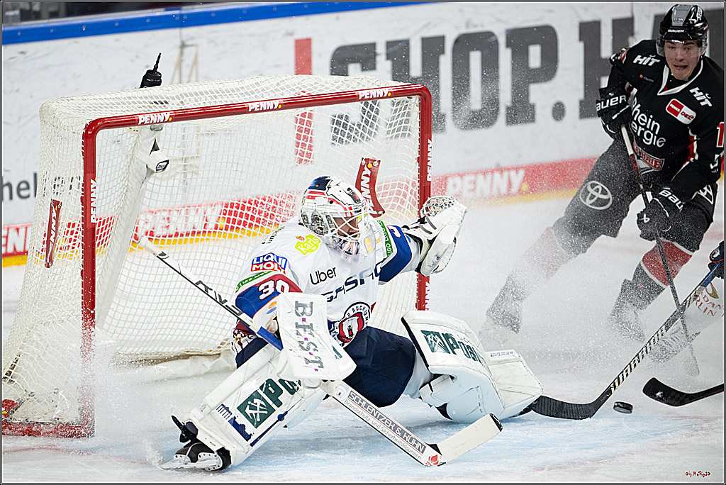 PENNY DEL 1; Kölner Haie - Eisbären Berlin; Köln, 07.01.2025