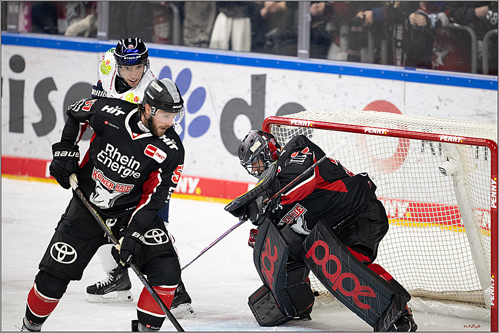 PENNY DEL 1; Kölner Haie - Eisbären Berlin; Köln, 07.01.2025