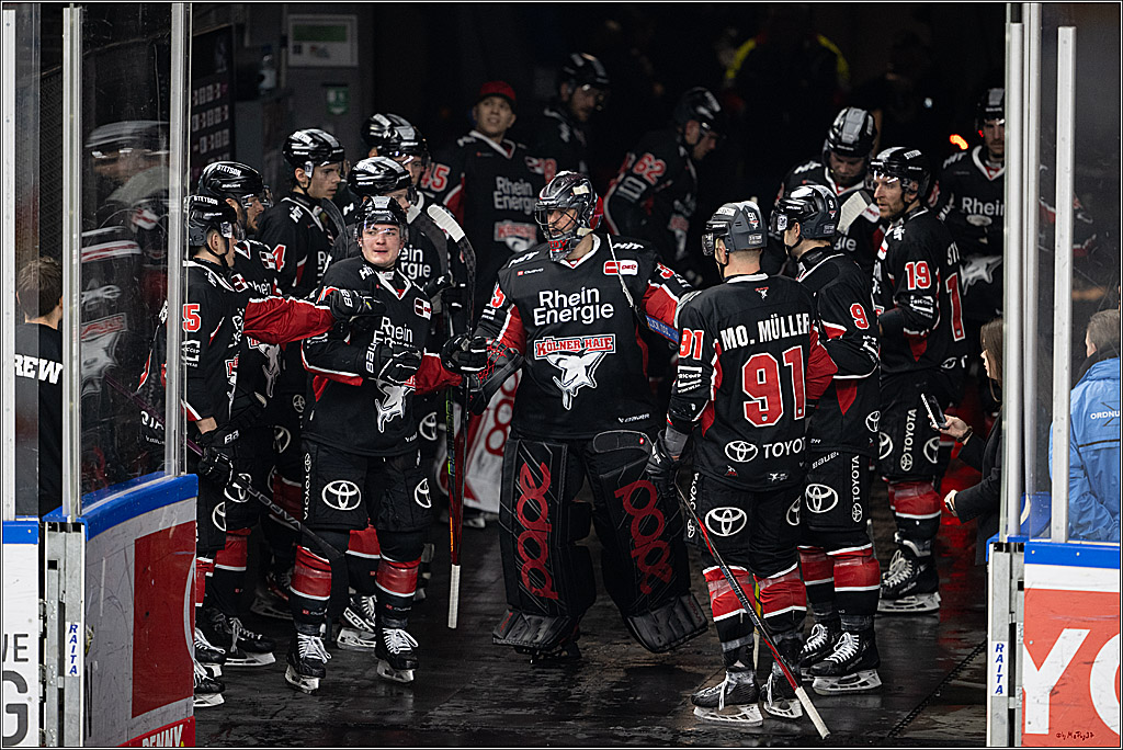 PENNY DEL 1; Kölner Haie - Eisbären Berlin; Köln, 07.01.2025