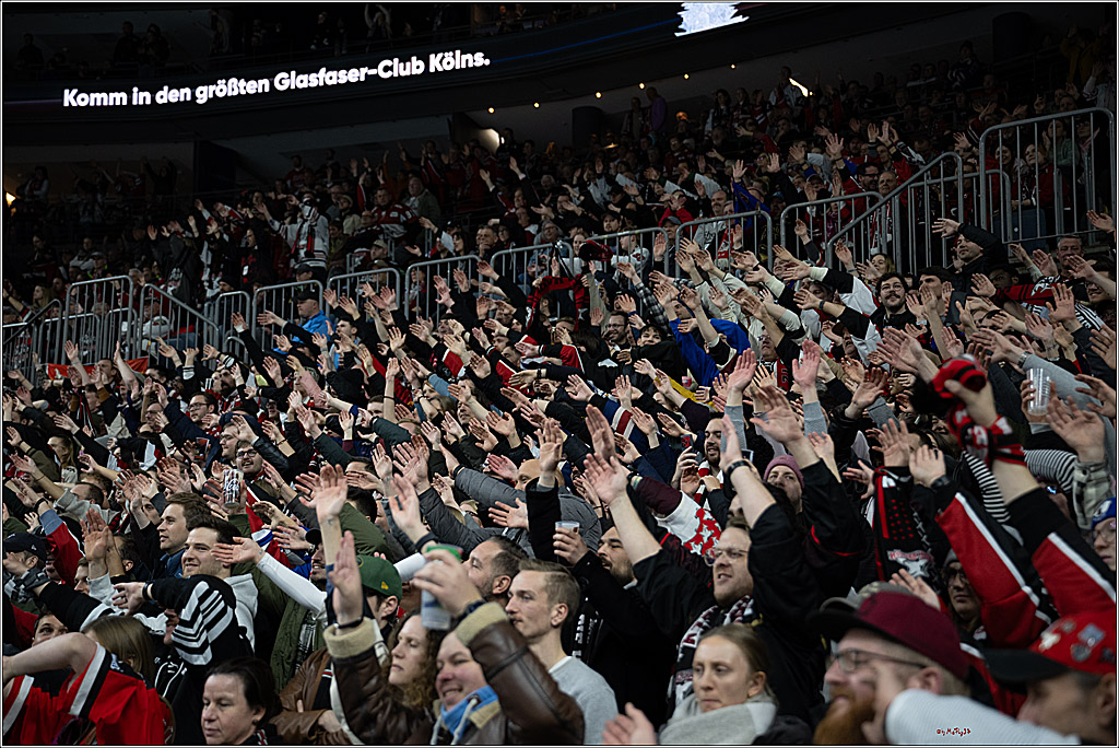 PENNY DEL 1; Kölner Haie - Eisbären Berlin; Köln, 07.01.2025