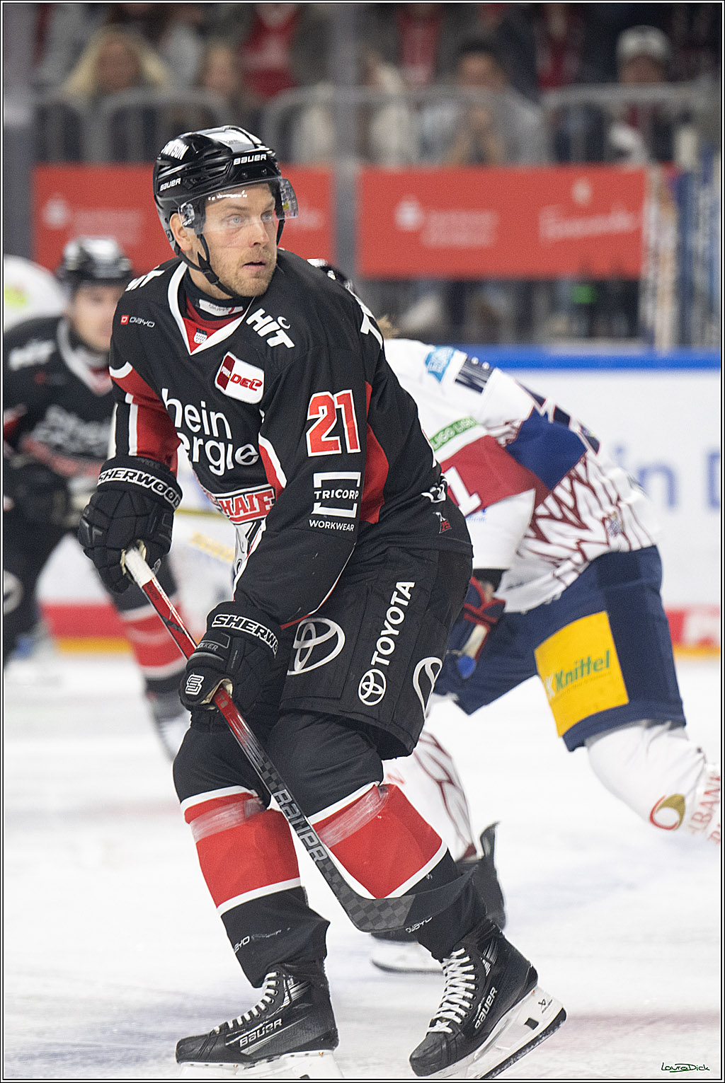 PENNY DEL; Koelner Haie- Eisbaeren Berlin; Koeln, 07.01.2025