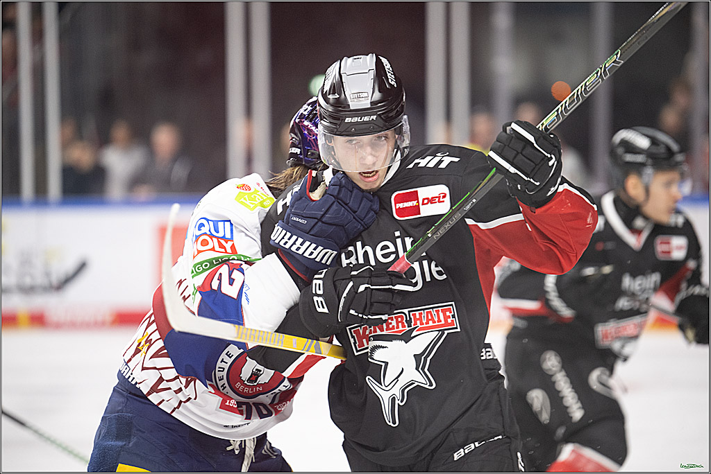 PENNY DEL; Koelner Haie- Eisbaeren Berlin; Koeln, 07.01.2025