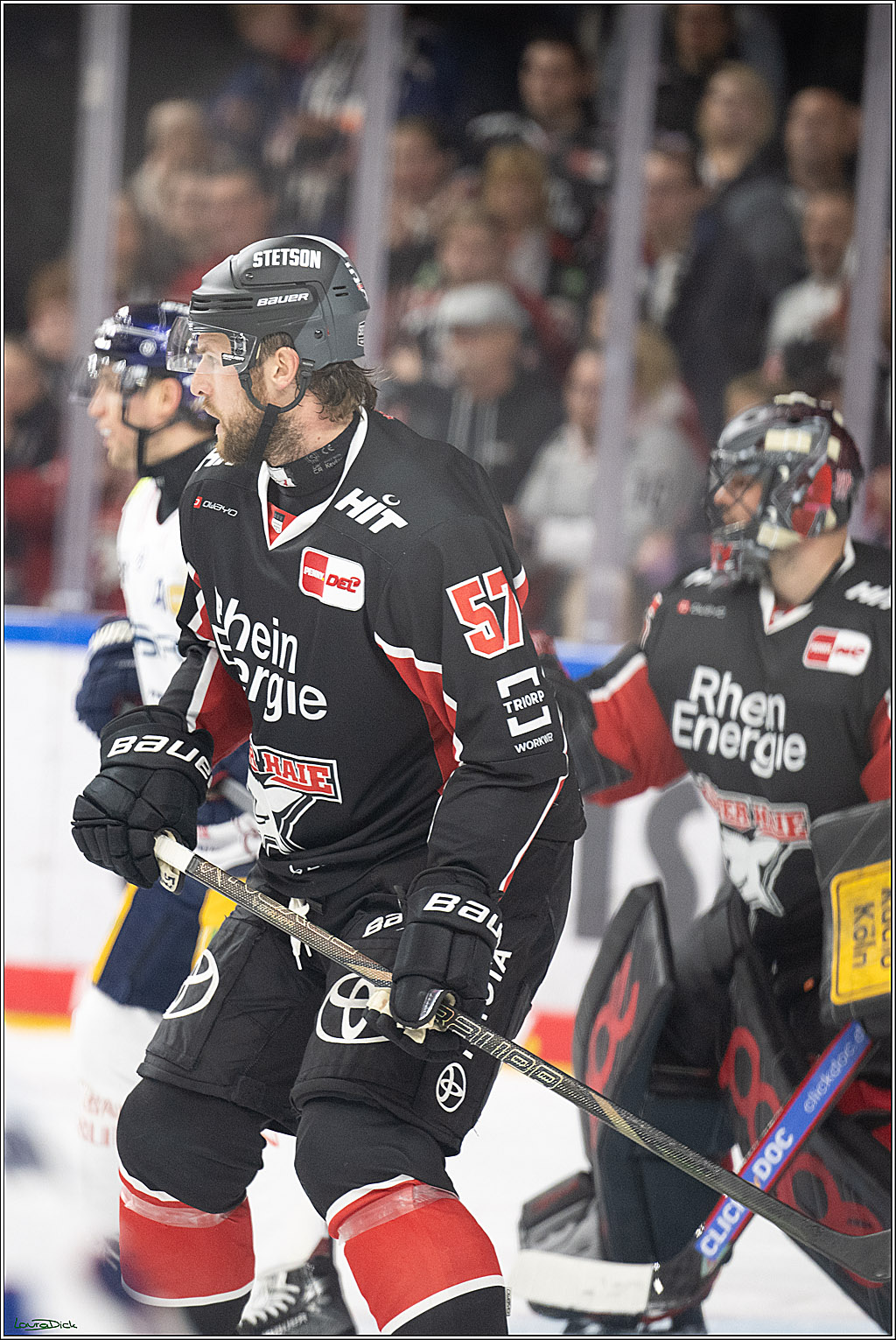 PENNY DEL; Koelner Haie- Eisbaeren Berlin; Koeln, 07.01.2025