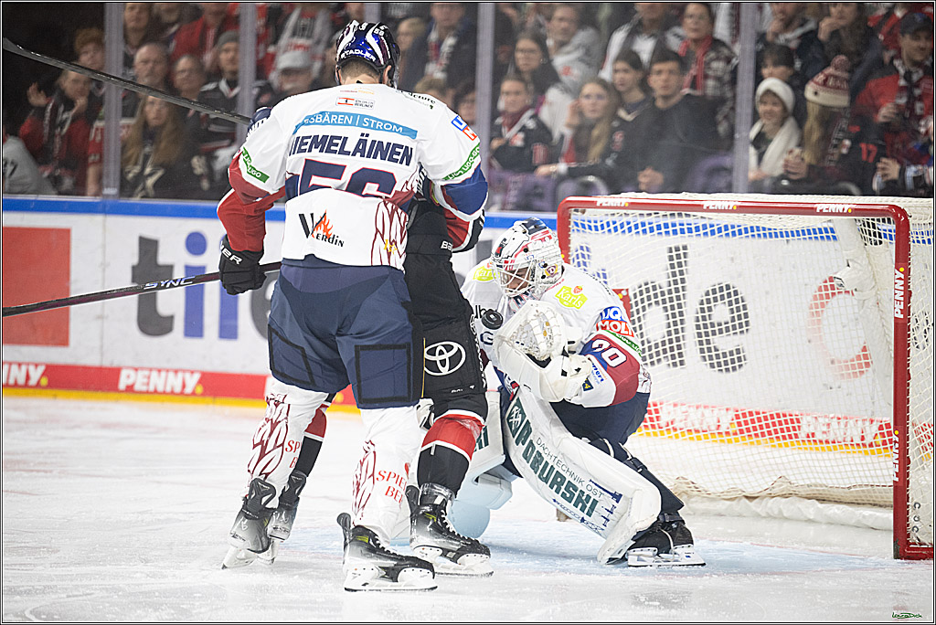 PENNY DEL; Koelner Haie- Eisbaeren Berlin; Koeln, 07.01.2025