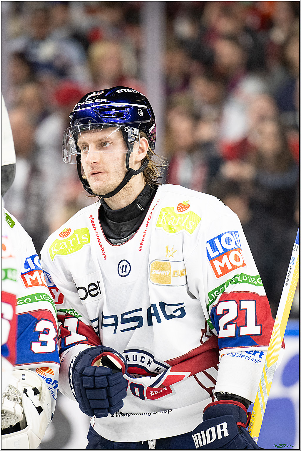 PENNY DEL; Koelner Haie- Eisbaeren Berlin; Koeln, 07.01.2025