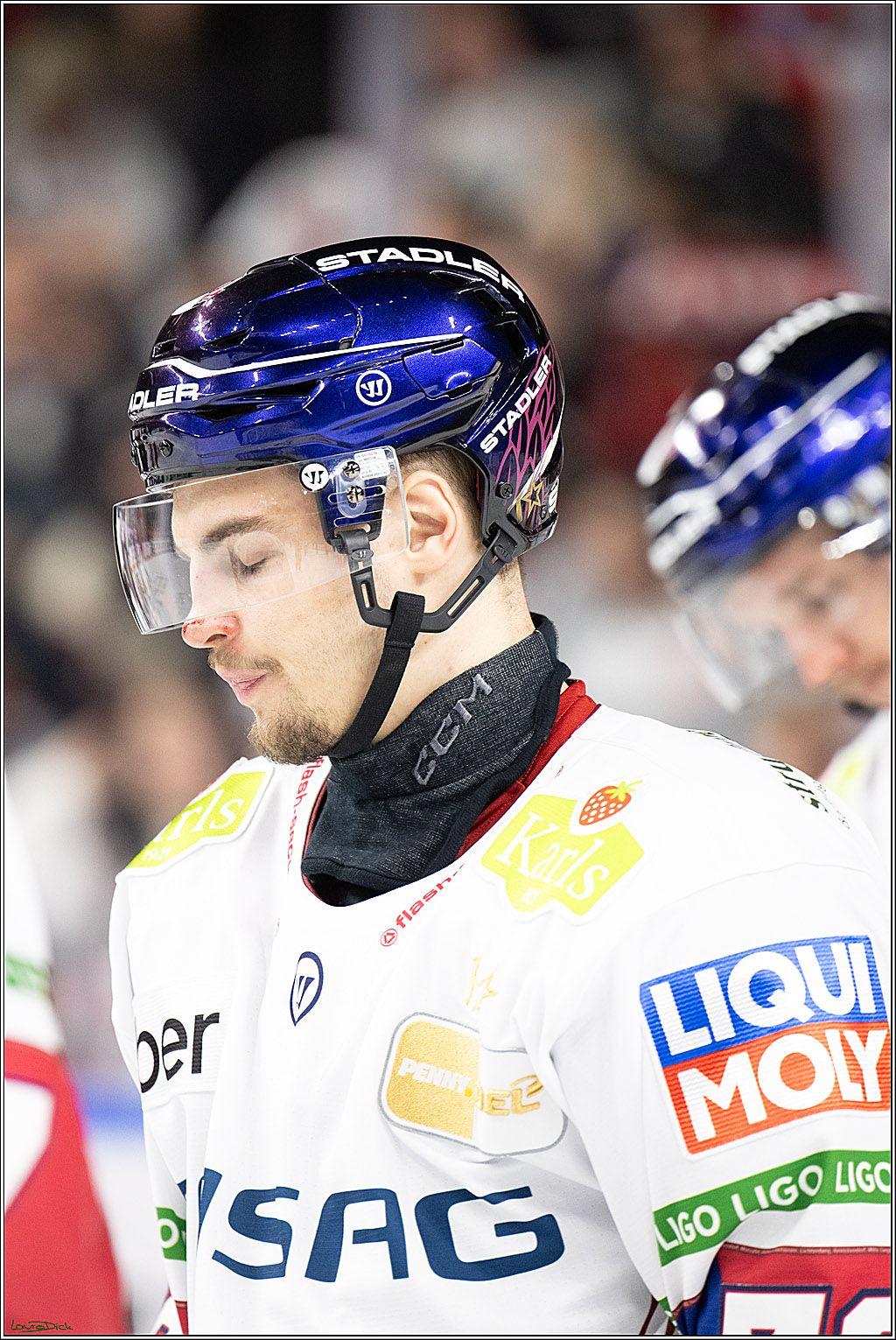 PENNY DEL; Koelner Haie- Eisbaeren Berlin; Koeln, 07.01.2025