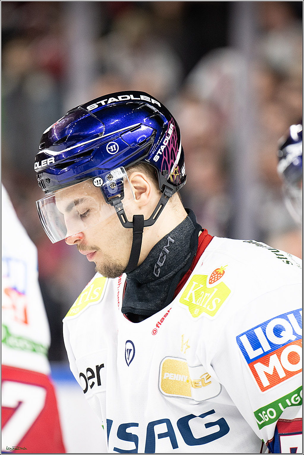 PENNY DEL; Koelner Haie- Eisbaeren Berlin; Koeln, 07.01.2025