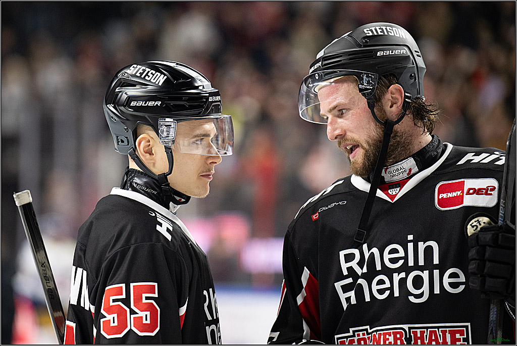 PENNY DEL; Koelner Haie- Eisbaeren Berlin; Koeln, 07.01.2025