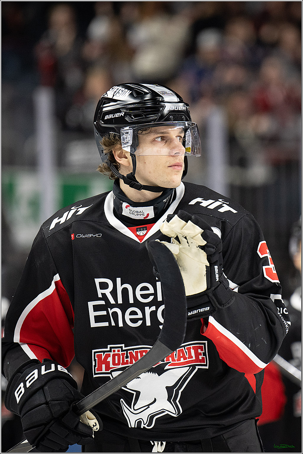 PENNY DEL; Koelner Haie- Eisbaeren Berlin; Koeln, 07.01.2025