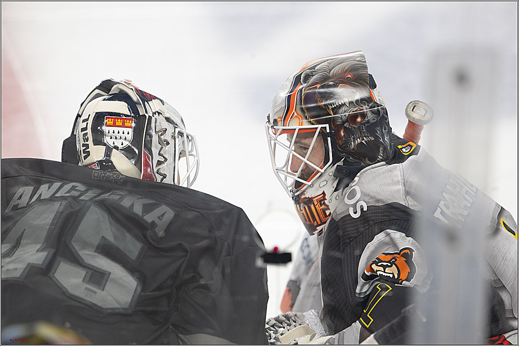 PENNY DEL 1; Kölner Haie - Grizzlys Wolfsburg; Köln, 10.01.2025