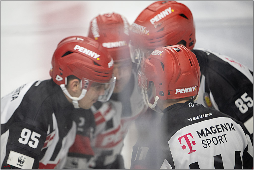 PENNY DEL 1; Kölner Haie - Grizzlys Wolfsburg; Köln, 10.01.2025