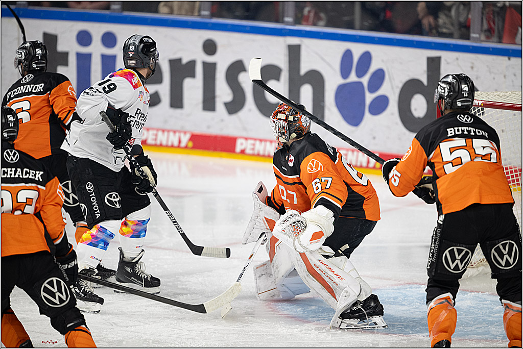 PENNY DEL 1; Kölner Haie - Grizzlys Wolfsburg; Köln, 10.01.2025