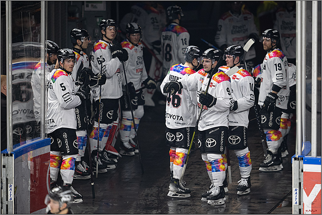 PENNY DEL 1; Kölner Haie - Grizzlys Wolfsburg; Köln, 10.01.2025