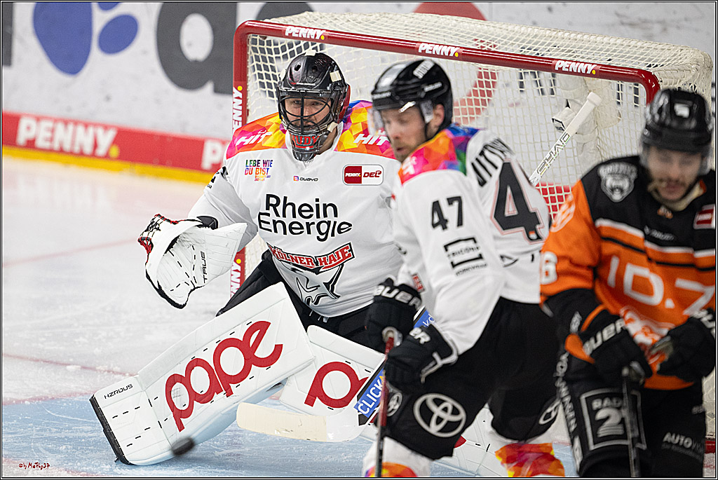 PENNY DEL 1; Kölner Haie - Grizzlys Wolfsburg; Köln, 10.01.2025