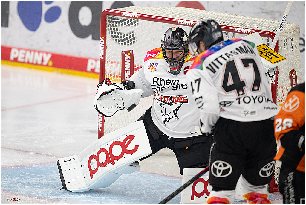 PENNY DEL 1; Kölner Haie - Grizzlys Wolfsburg; Köln, 10.01.2025