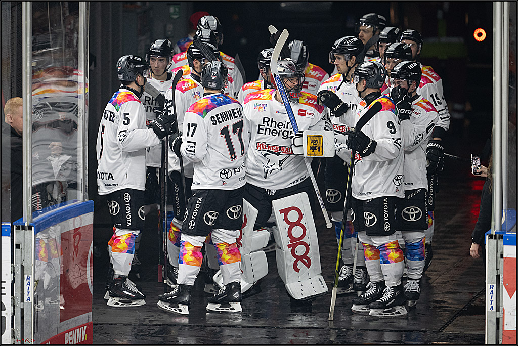 PENNY DEL 1; Kölner Haie - Grizzlys Wolfsburg; Köln, 10.01.2025