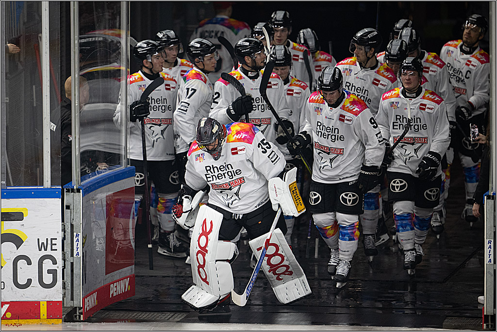 PENNY DEL 1; Kölner Haie - Grizzlys Wolfsburg; Köln, 10.01.2025