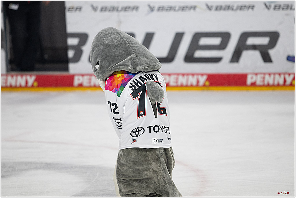 PENNY DEL 1; Kölner Haie - Grizzlys Wolfsburg; Köln, 10.01.2025