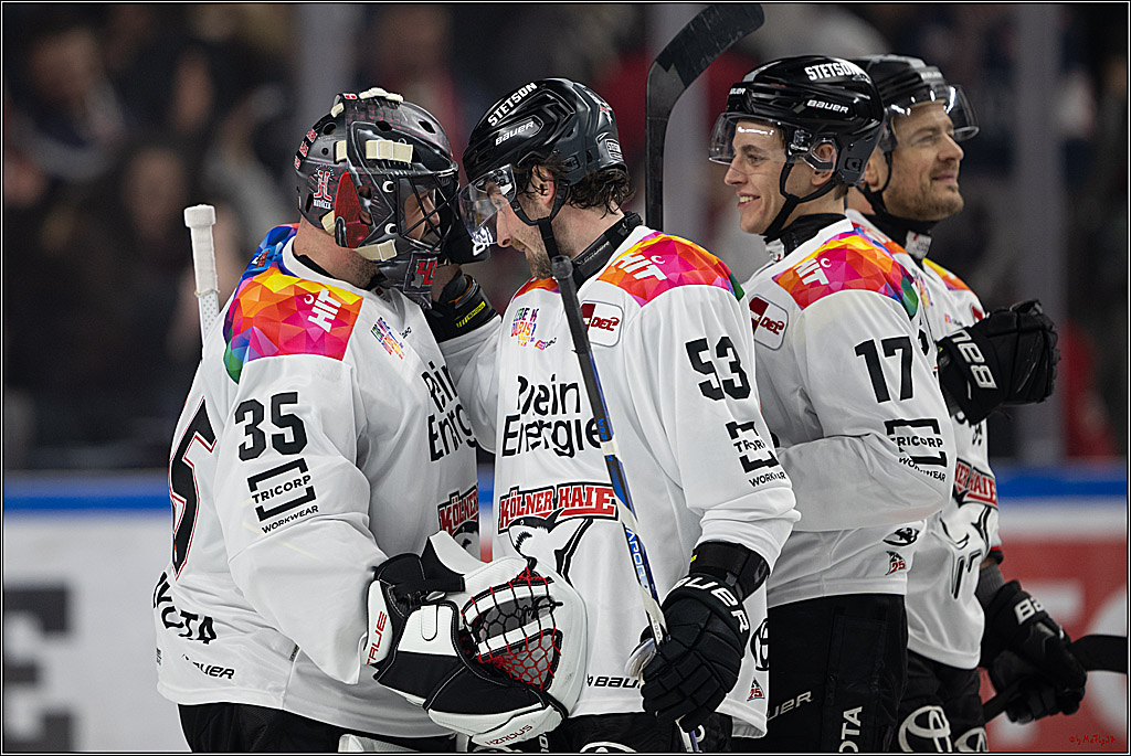 PENNY DEL 1; Kölner Haie - Grizzlys Wolfsburg; Köln, 10.01.2025