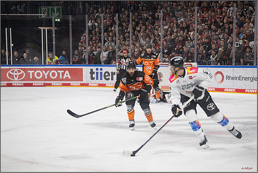 PENNY DEL 1; Kölner Haie - Grizzlys Wolfsburg; Köln, 10.01.2025