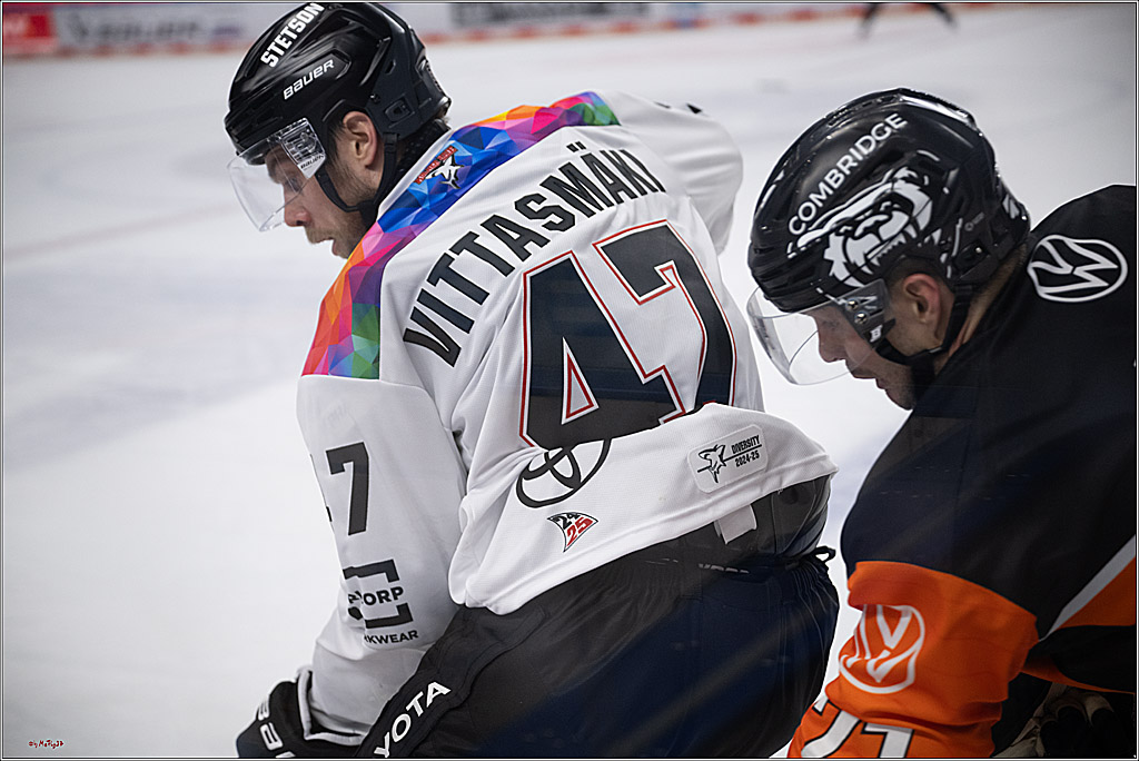 PENNY DEL 1; Kölner Haie - Grizzlys Wolfsburg; Köln, 10.01.2025