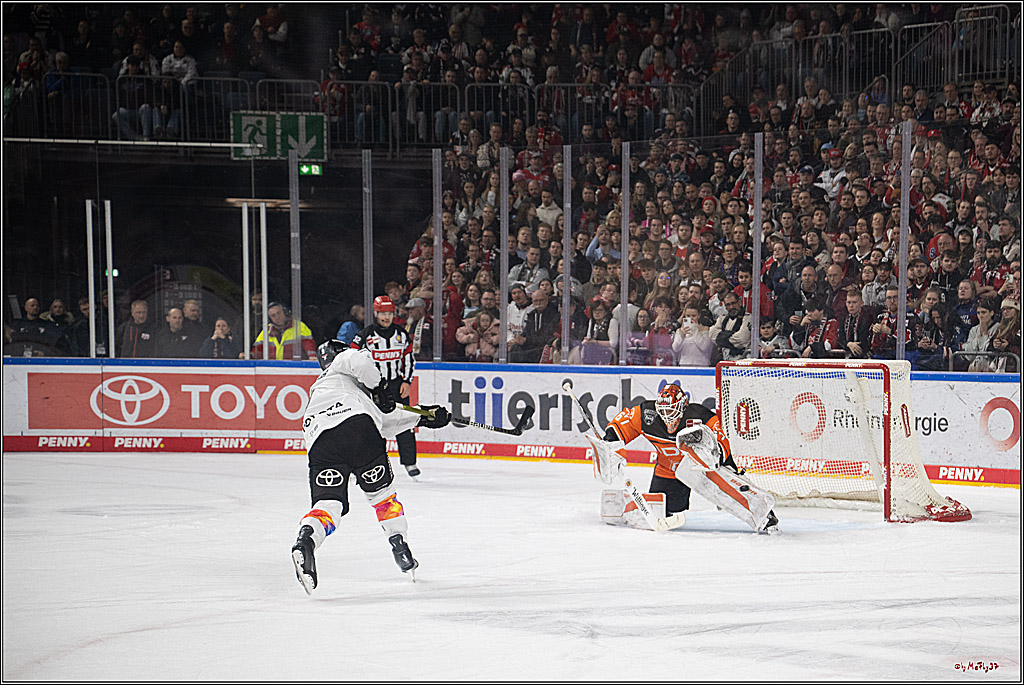 PENNY DEL 1; Kölner Haie - Grizzlys Wolfsburg; Köln, 10.01.2025