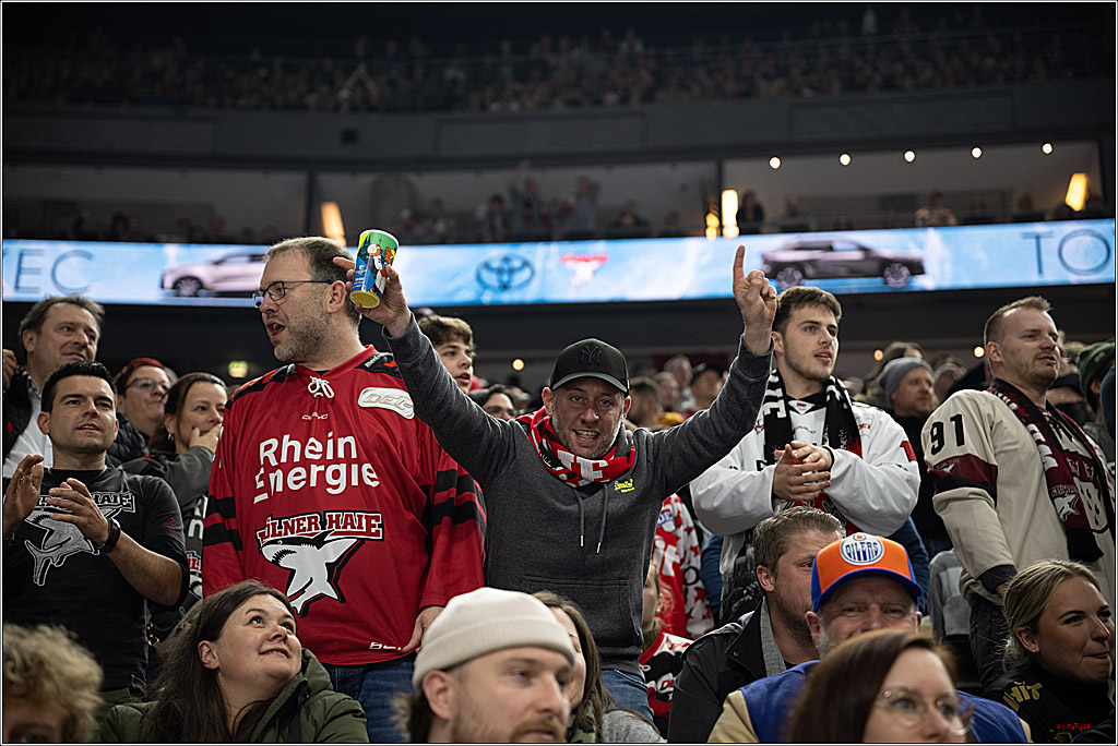 PENNY DEL 1; Kölner Haie - Grizzlys Wolfsburg; Köln, 10.01.2025