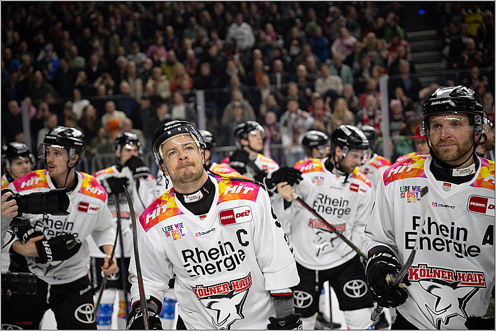 PENNY DEL 1; Kölner Haie - Grizzlys Wolfsburg; Köln, 10.01.2025