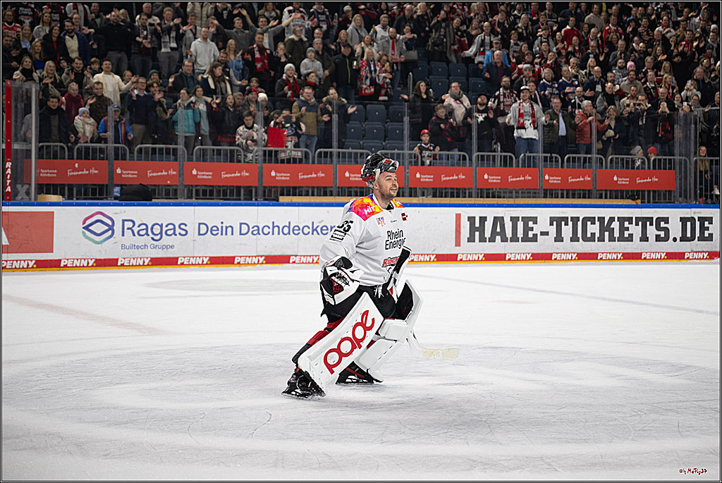 PENNY DEL 1; Kölner Haie - Grizzlys Wolfsburg; Köln, 10.01.2025