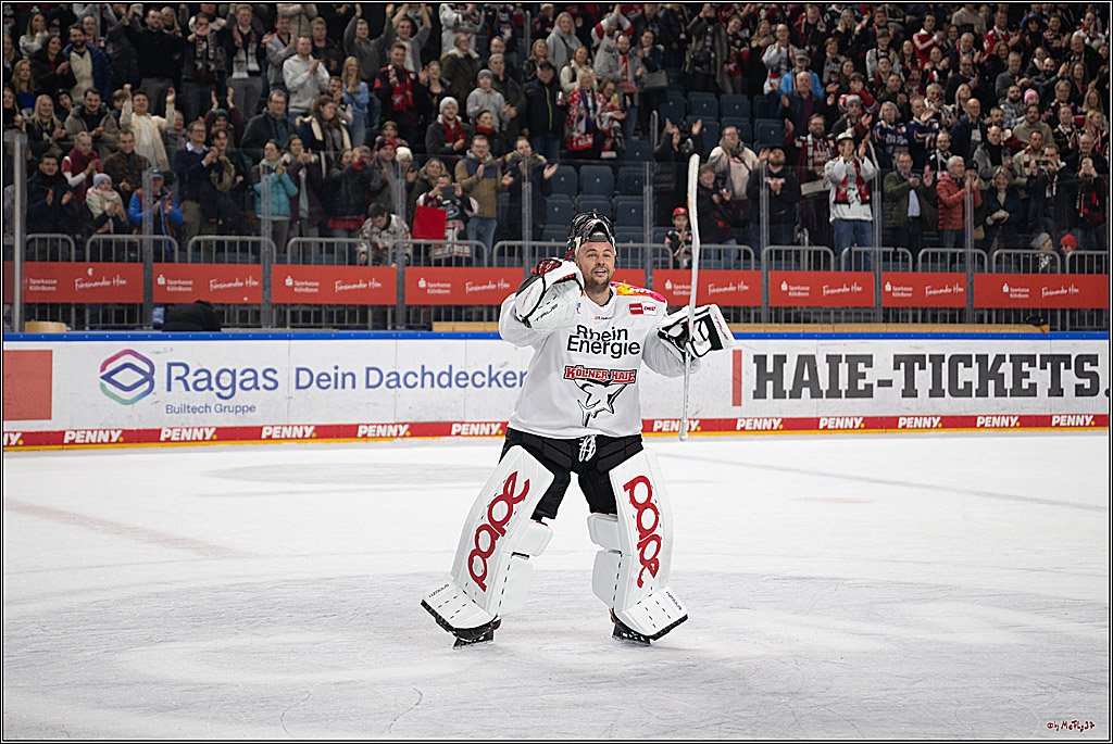 PENNY DEL 1; Kölner Haie - Grizzlys Wolfsburg; Köln, 10.01.2025
