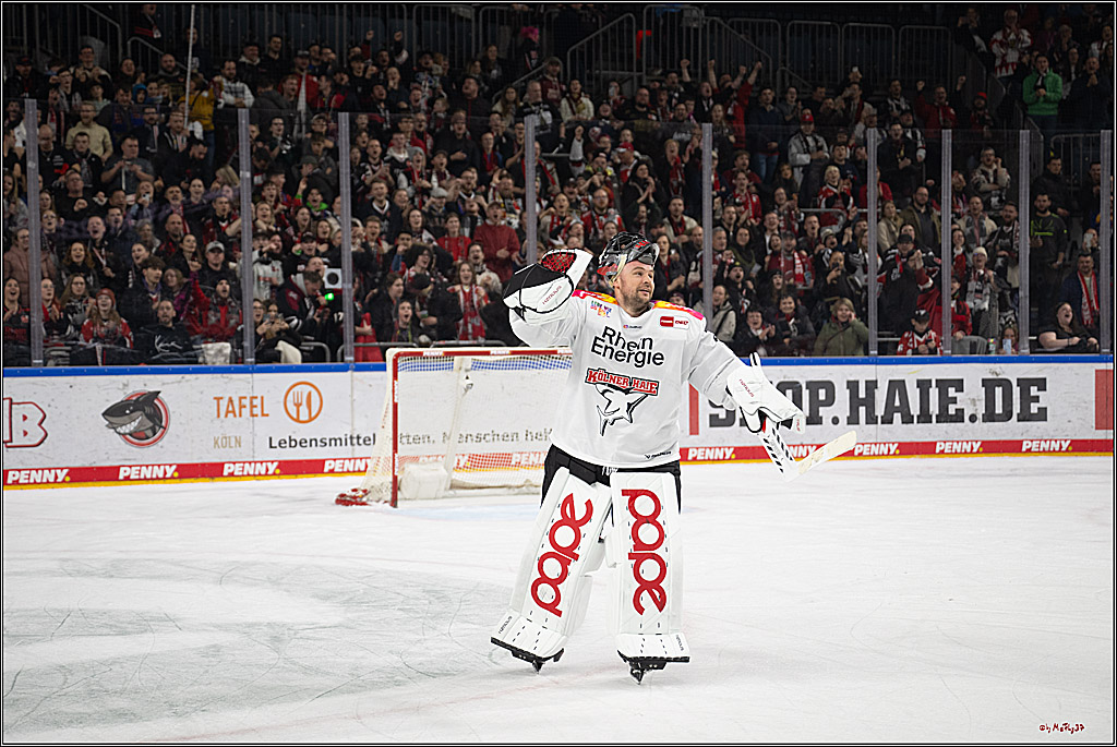 PENNY DEL 1; Kölner Haie - Grizzlys Wolfsburg; Köln, 10.01.2025