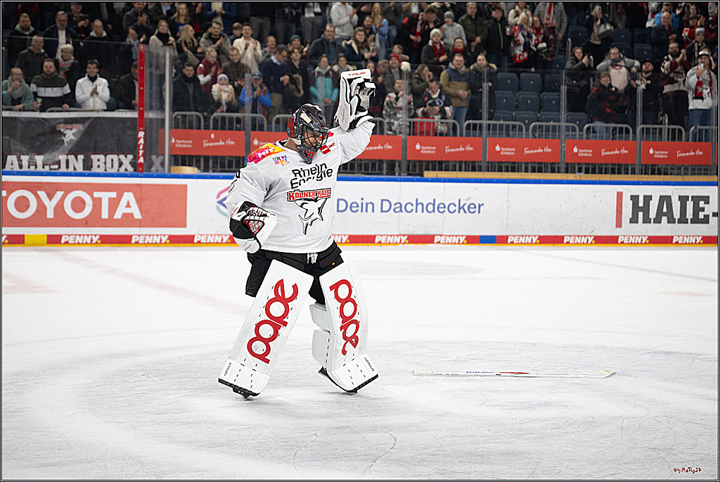 PENNY DEL 1; Kölner Haie - Grizzlys Wolfsburg; Köln, 10.01.2025